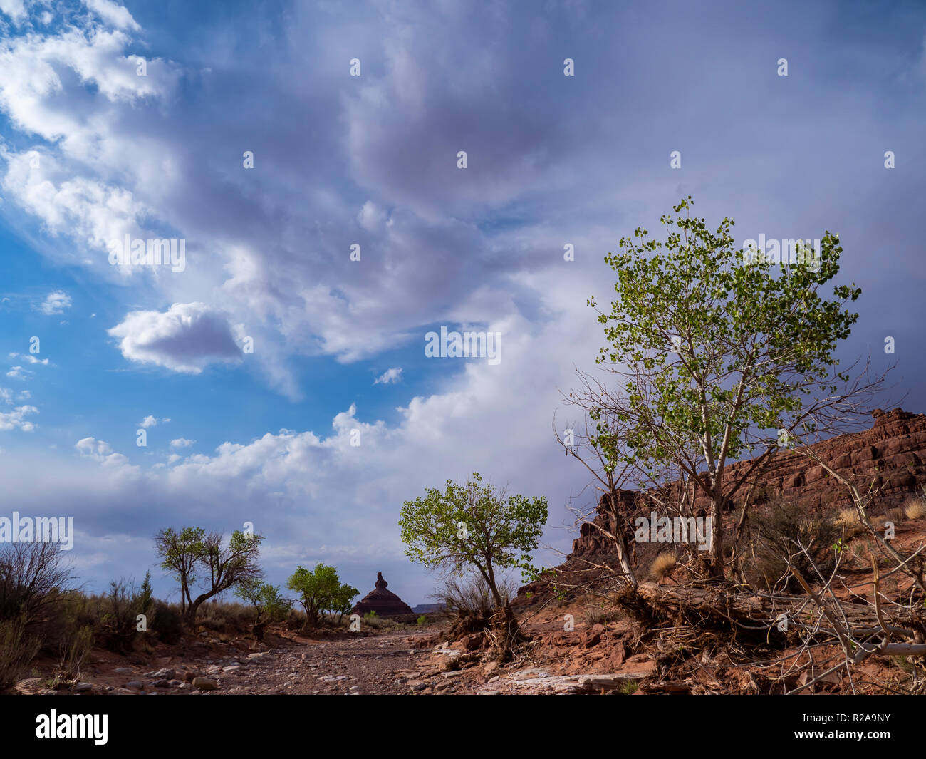 Einstellung Henne Butte, Tal der Götter in der Nähe von Bluff, Utah. Stockfoto