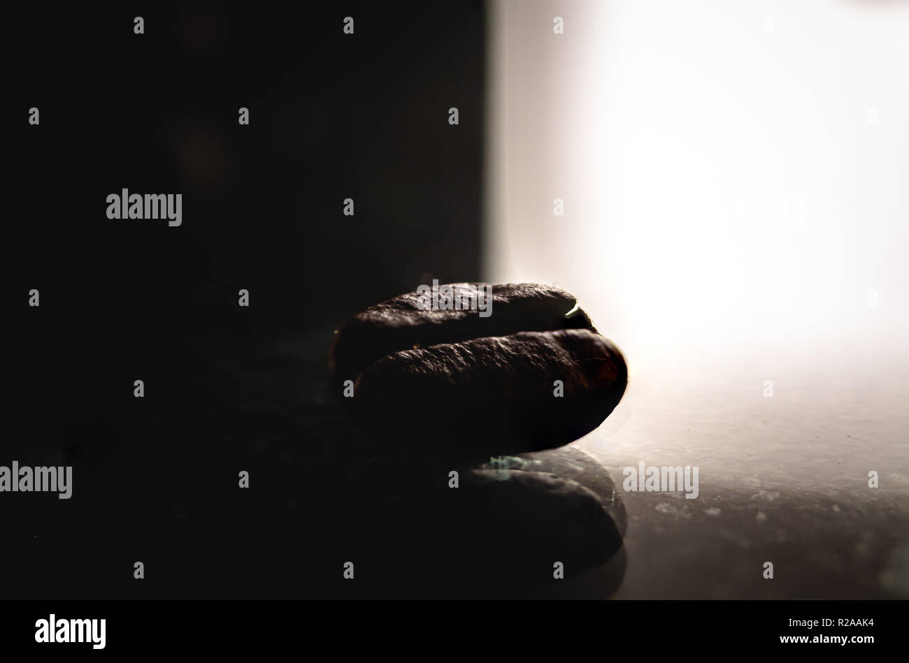 Makrofotografie von Coffee Bean Stockfoto