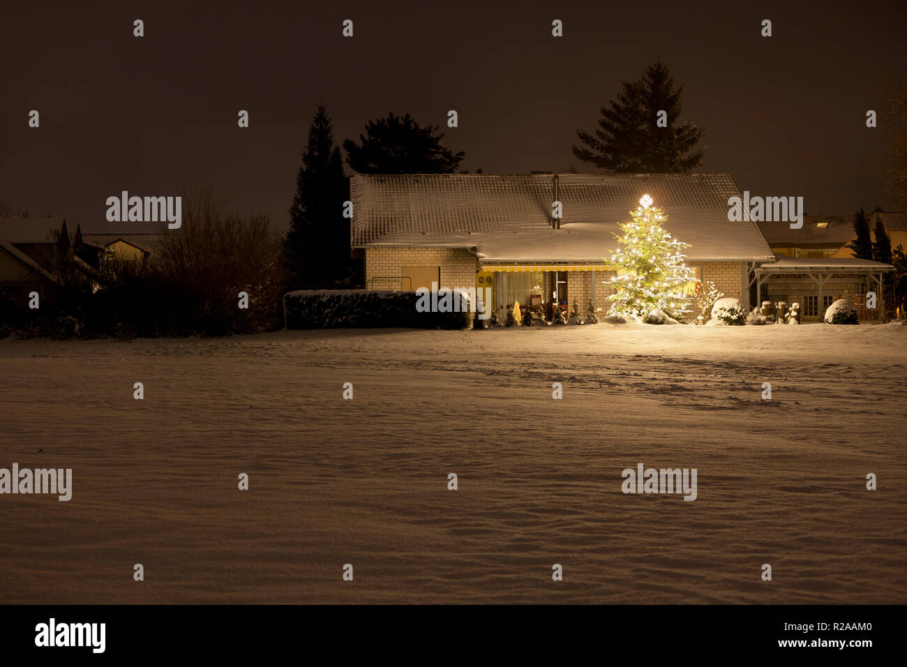 Ein modernes Haus mit einem großen Weihnachtsbaum und eine Menge Neuschnee in der Nacht in Lachen, Edenkoben, Deutschland. Stockfoto