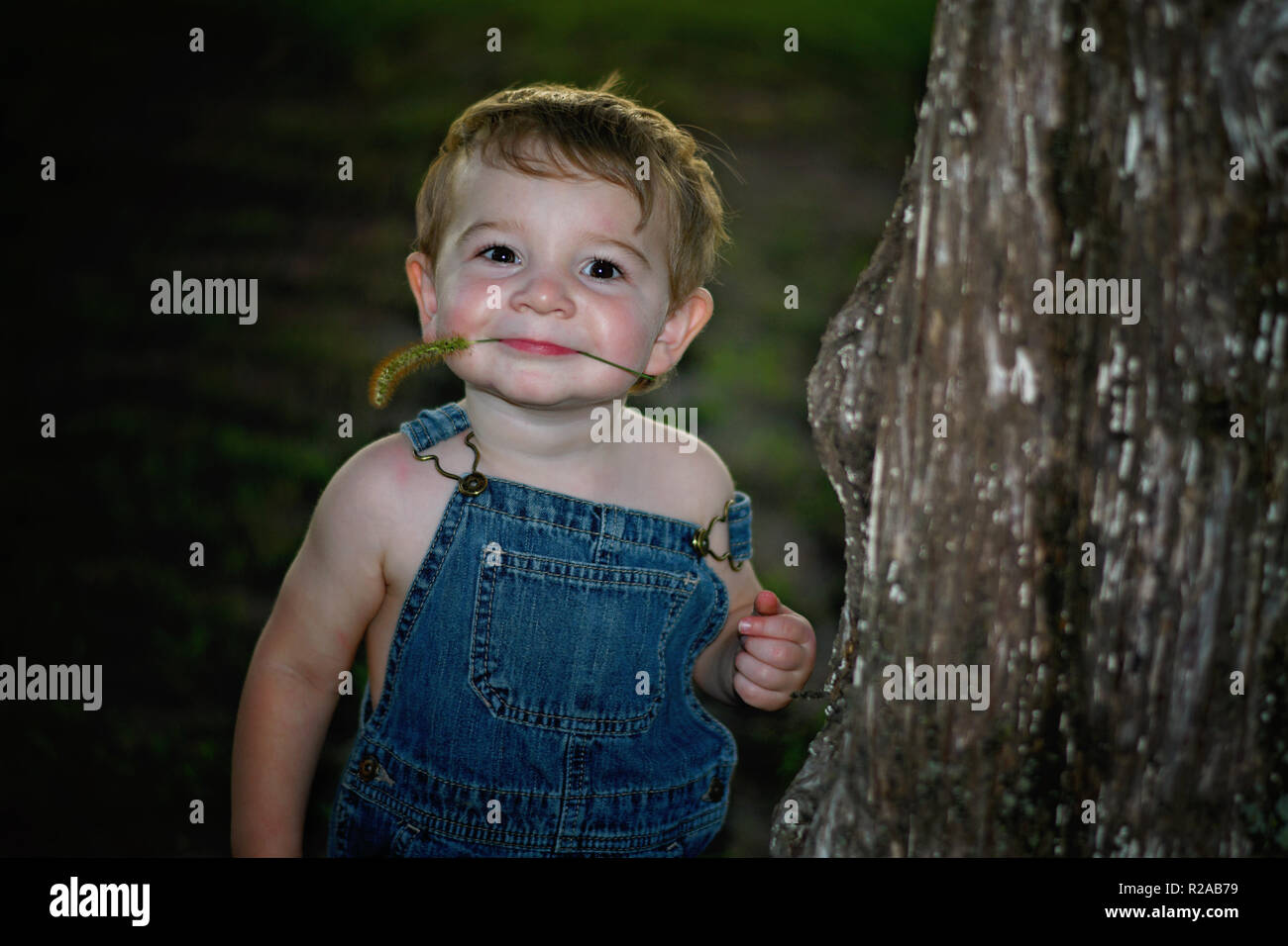 Little Boy tragen Overalls Portrait mit einem Fuchsschwanz Unkraut in seinem Mund Stockfoto