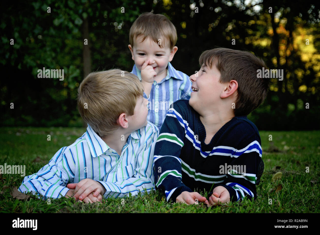 Drei Brüder zusammen Portrait Stockfoto