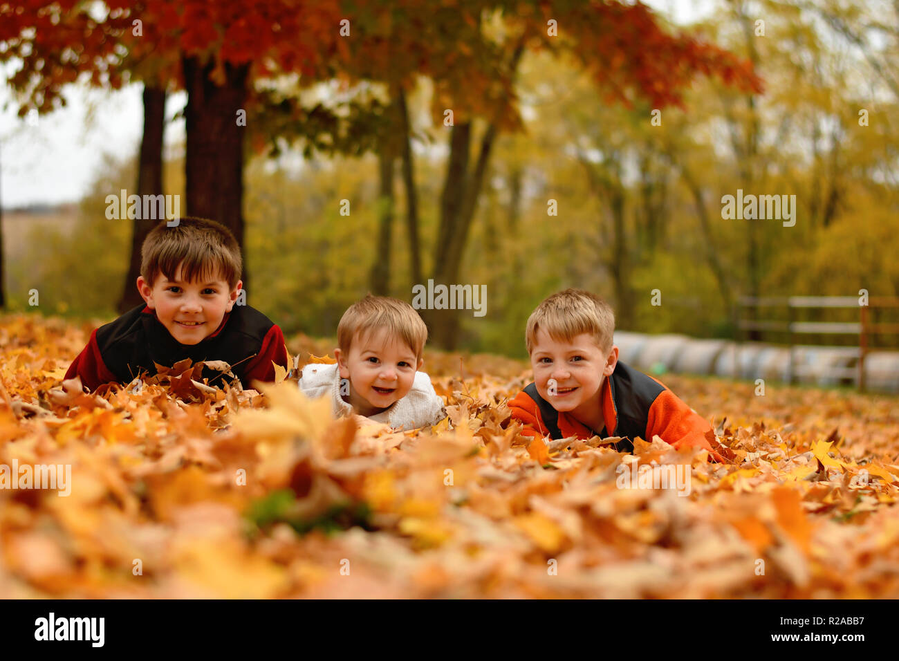 Drei Jungen spielen im Herbst Blätter im Land Stockfoto