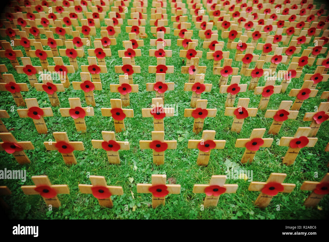 Tag der Erinnerung Bereich der hölzerne Kreuze mit Mohn auf das Gedenken Sonntag, Großbritannien 2018 Stockfoto