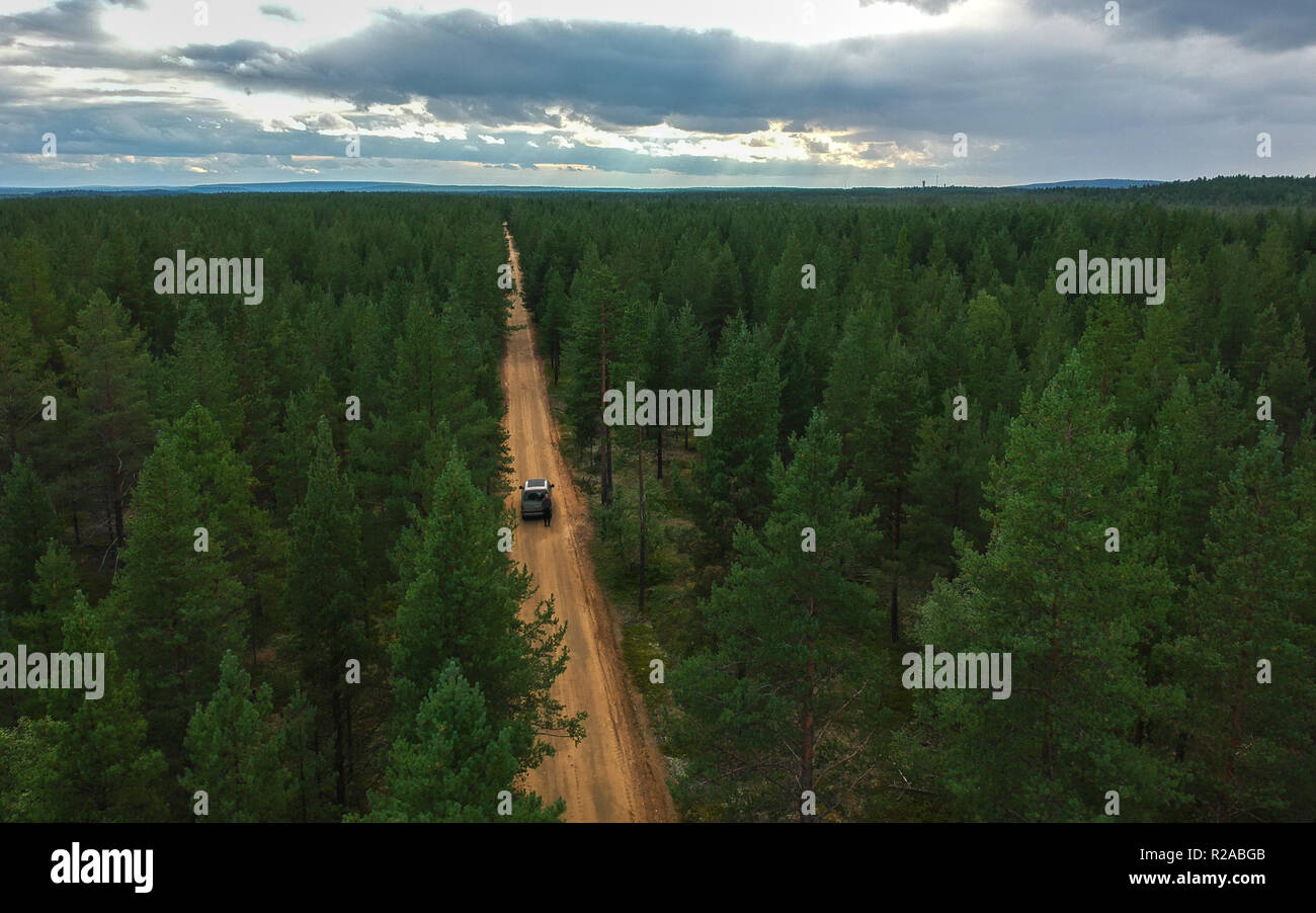 Luftbild des Auto durch treibende Pinienwald Stockfoto