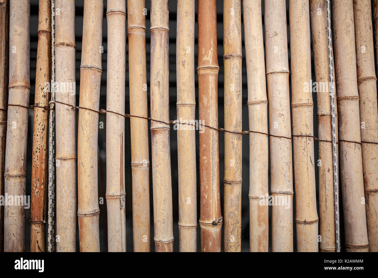 Trockene Bambus Wand gebunden mit Seil Textur Hintergrund, Bambus zaun  Hintergrund, Bamboo Stick Muster Stockfotografie - Alamy