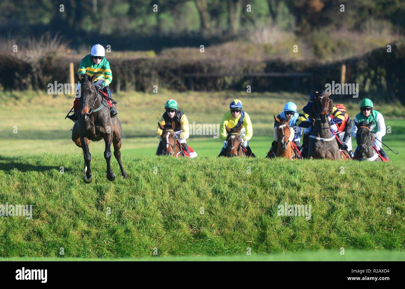 Meine Heimatstadt geritten von Jockey Donie McInerney auf dem Weg zum Gewinnen der EMS Kopierer von Blitz und Donner begleitet Chase bei Tag zwei Der Winter Festival im Punchestown-rennbahn, County Kildare. Stockfoto