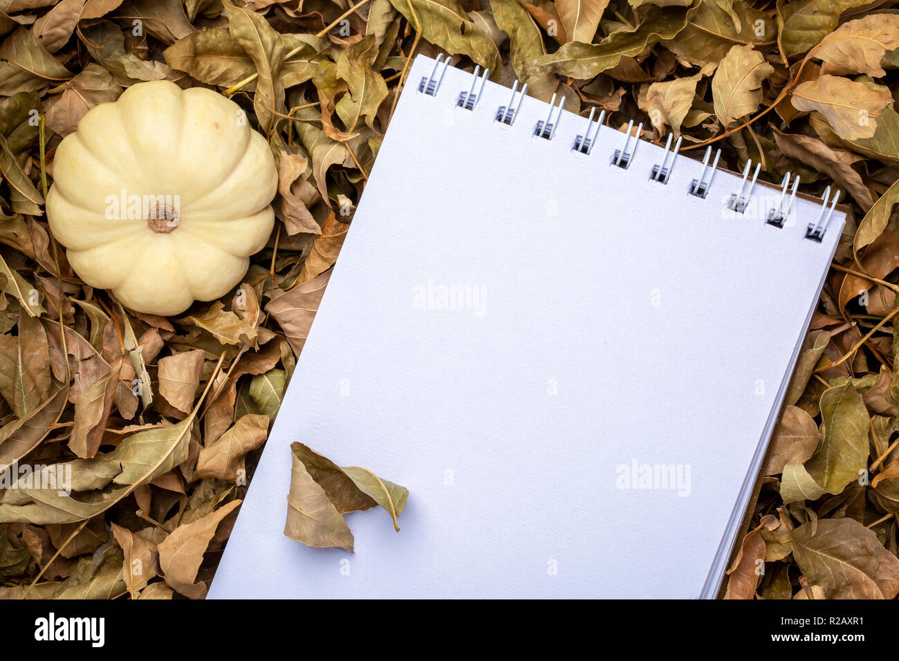 Leer, spiral Skizzenbuch gegen trockene Herbst Blätter mit ornamentalen Kürbis Stockfoto
