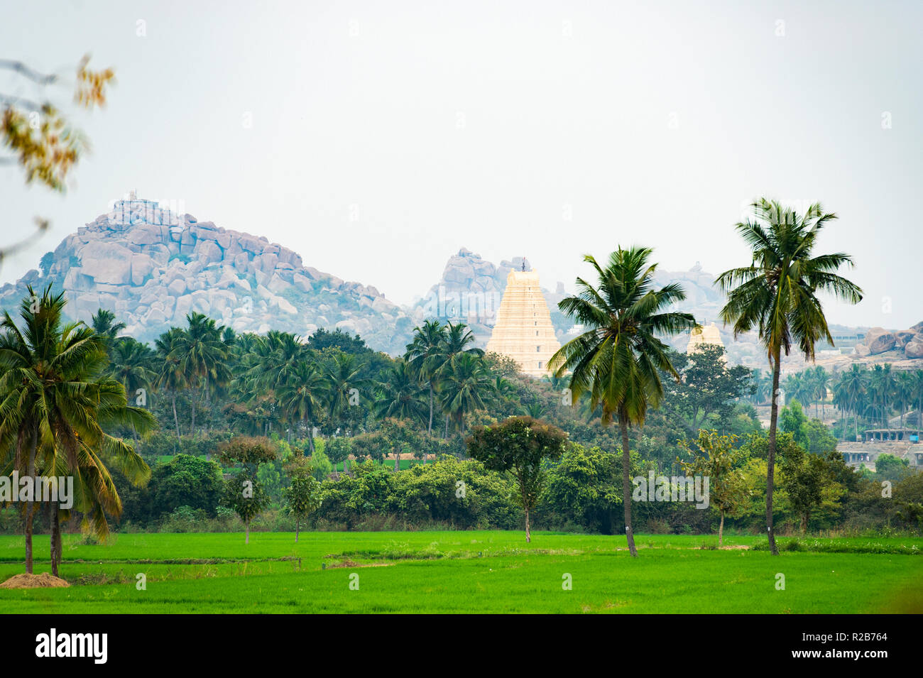Virupaksha temple durch grüne Reisfelder und schöne Palmen umgeben. Hampi, Karnataka, Indien Stockfoto
