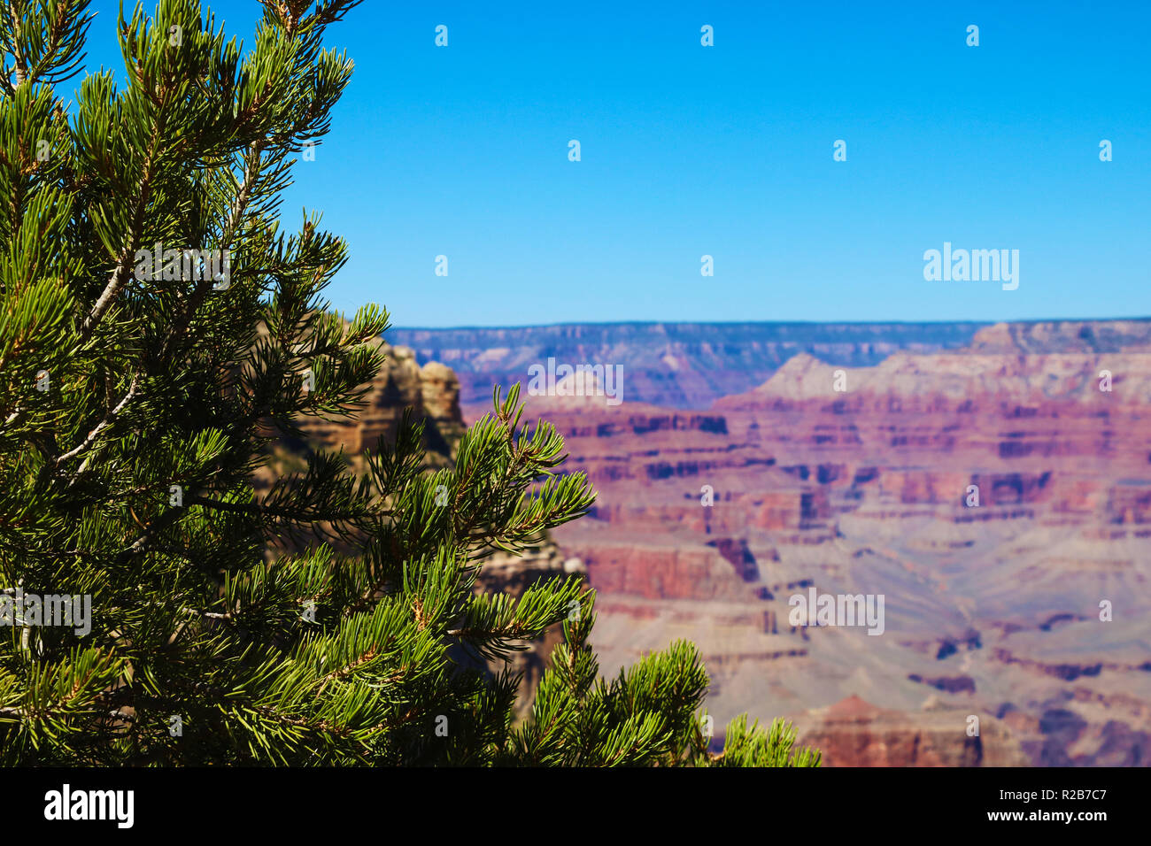 Grand Canyon sonnigen Tag mit blauem Himmel Stockfoto