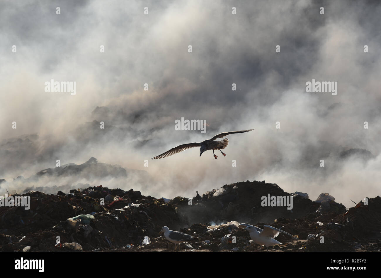 Die Stadt dump auf Feuer im Astrachan, Russland Stockfoto