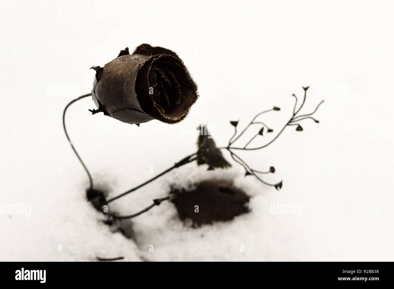 Eine alte Kunststoff schwarz Blume, die in einem trockenen Flussbett festgefahren ist, mit Schnee bedeckt. Konzept der Tod, Alter und Verlassenheit. Umweltverschmutzung. Stockfoto