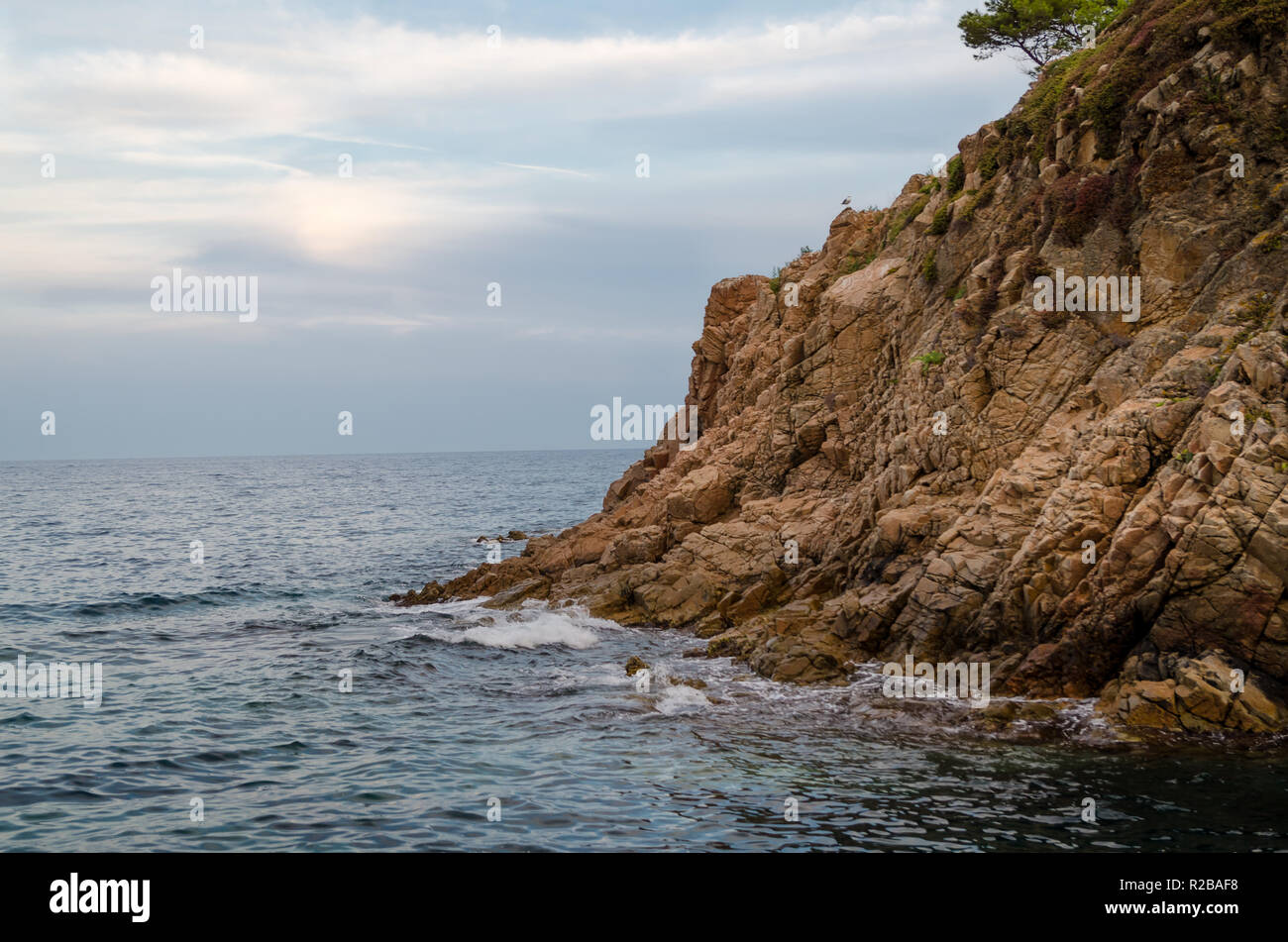 Fotos von Klippen von Cala de Sant Francesc, die Küste der Bucht von Blanes, Costa Brava, Spanien, Katalonien Stockfoto