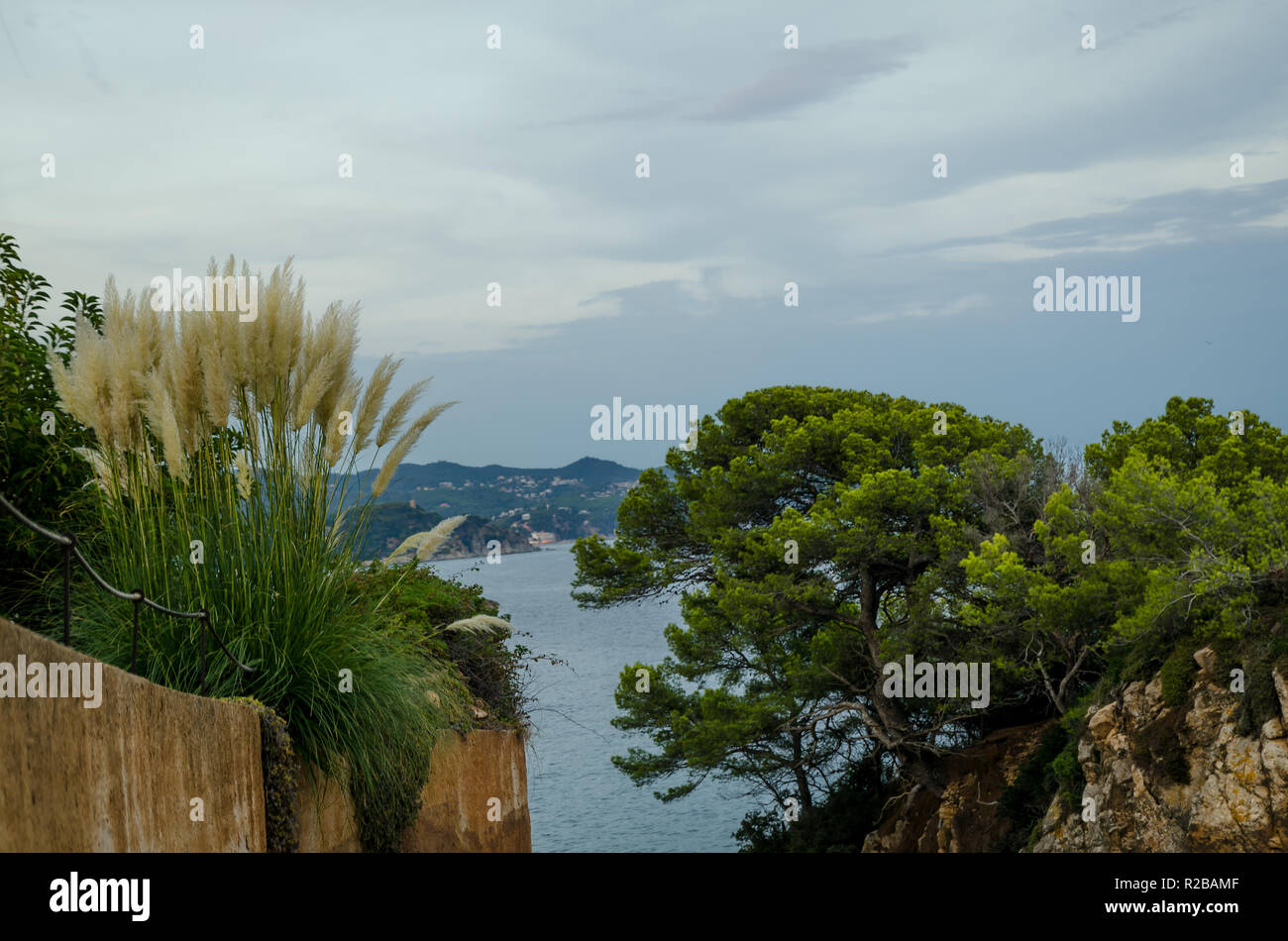 Fotos von Klippen von Cala de Sant Francesc, die Küste der Bucht von Blanes, Costa Brava, Spanien, Katalonien Stockfoto