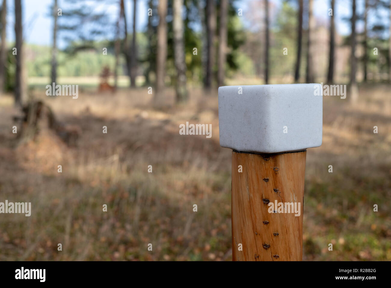Ein Salz cube für Wald Tiere vorbereitet. Lick in den Wald in der Nähe der Weide. Jahreszeit der Herbst. Stockfoto