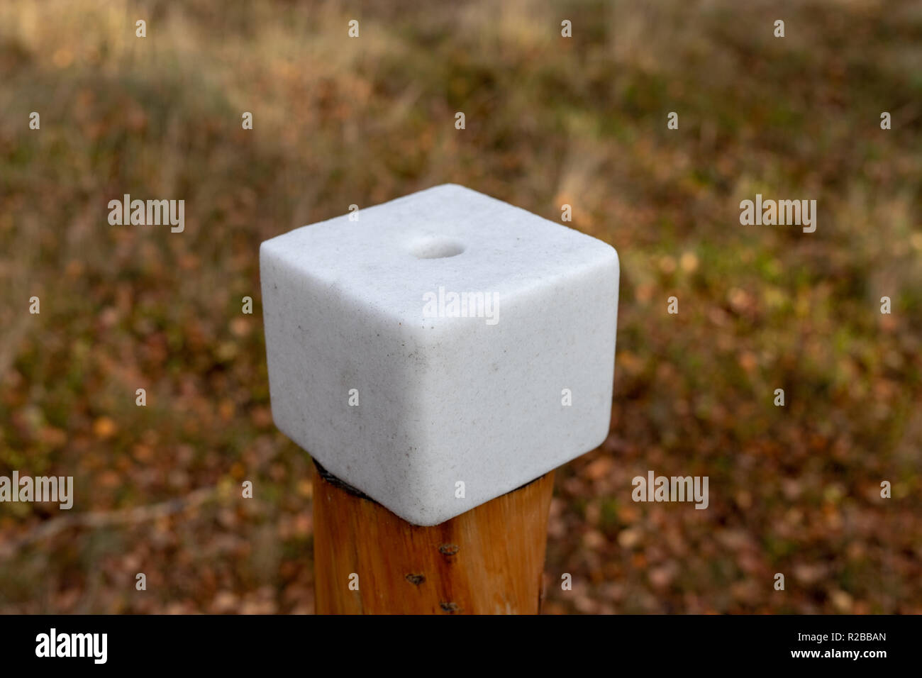 Ein Salz cube für Wald Tiere vorbereitet. Lick in den Wald in der Nähe der Weide. Jahreszeit der Herbst. Stockfoto
