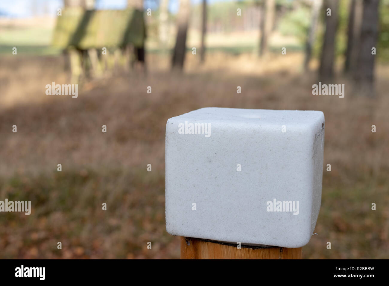 Ein Salz cube für Wald Tiere vorbereitet. Lick in den Wald in der Nähe der Weide. Jahreszeit der Herbst. Stockfoto