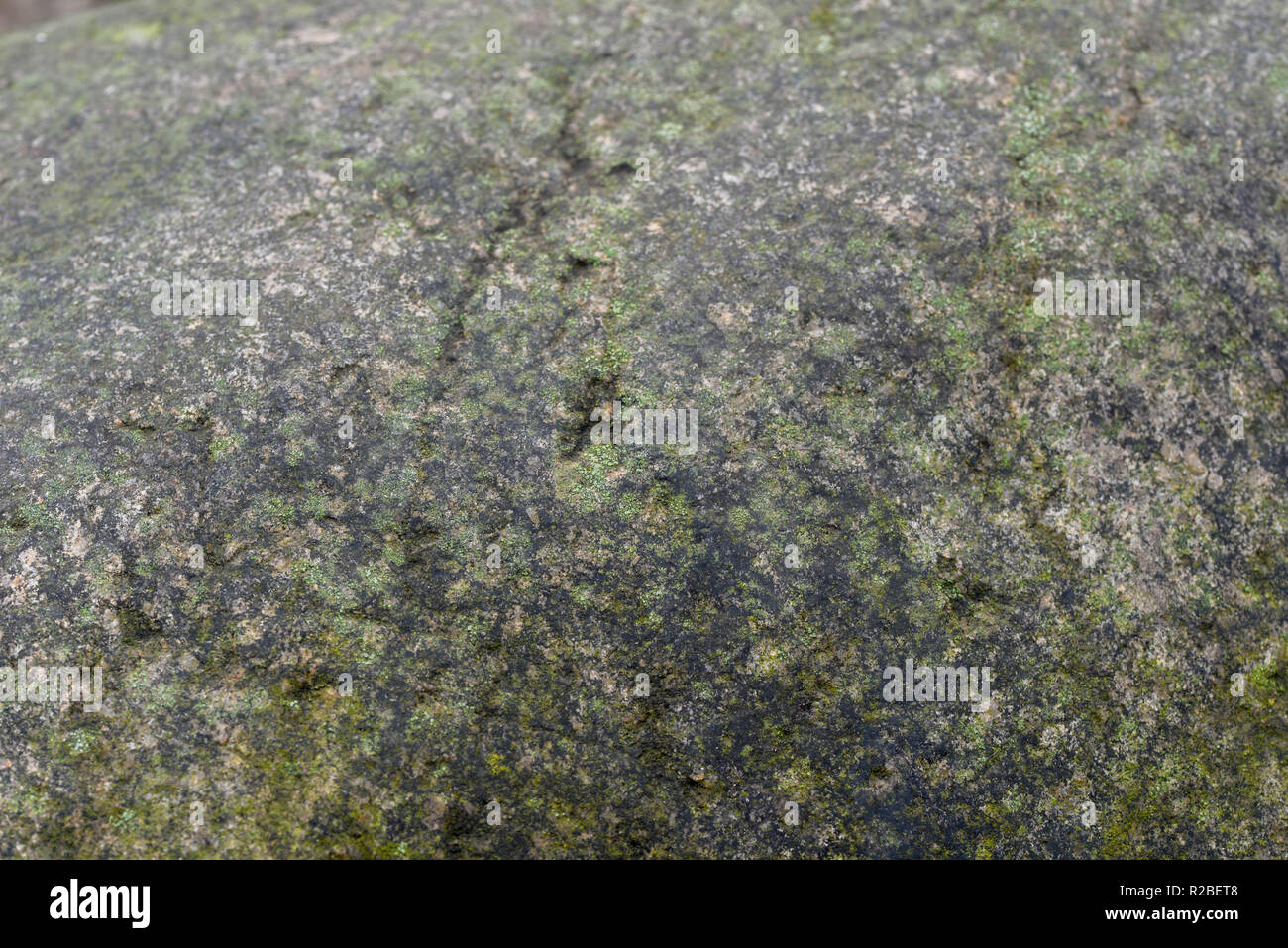 Alten Granitfelsen mit Flechte Makro selektiven Fokus abgedeckt Stockfoto