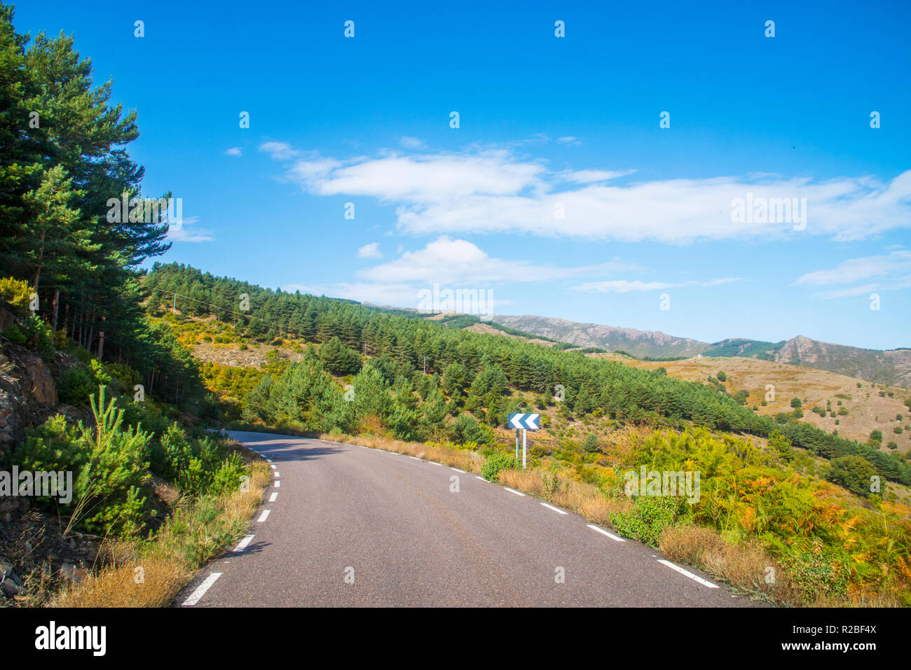 Seite Straße. Sierra Norte Nature Reserve, in der Provinz Guadalajara, Kastilien-La Mancha, Spanien. Stockfoto