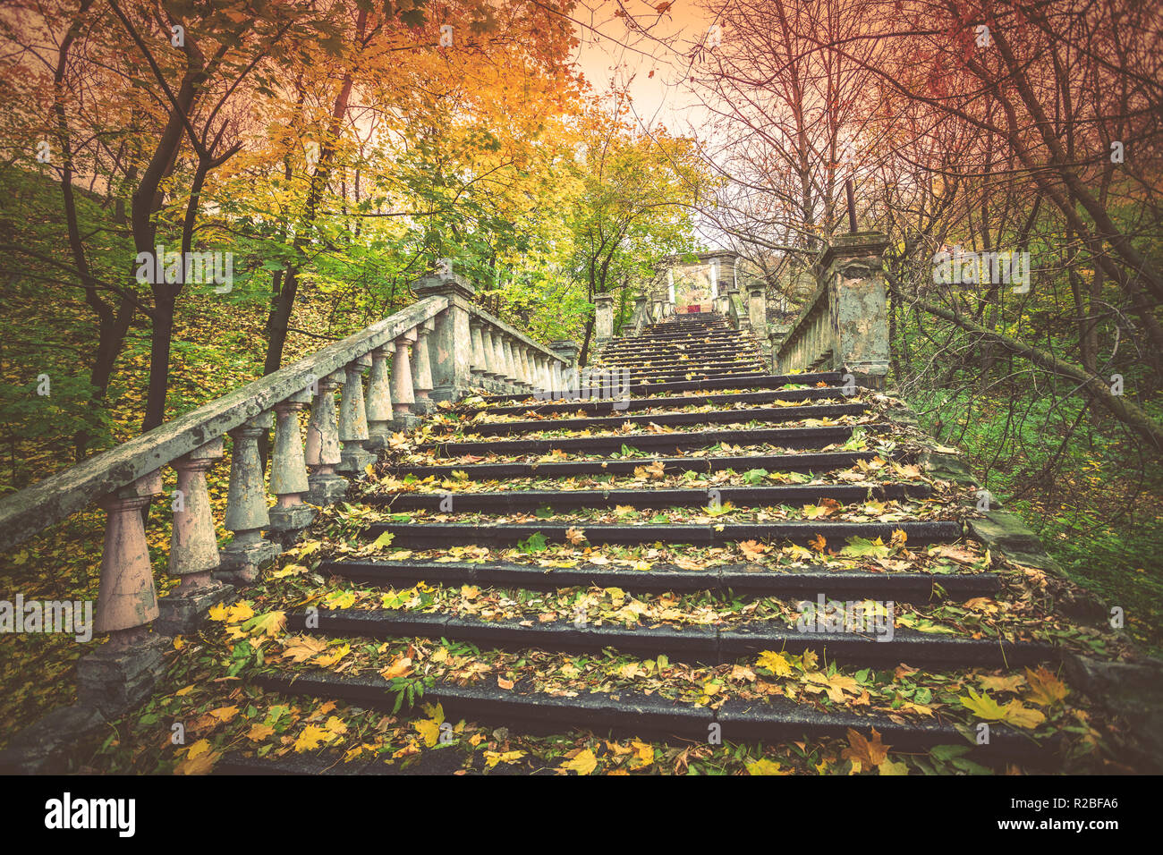 Alte Treppe mit Laub im Park im Herbst abgedeckt Stockfoto