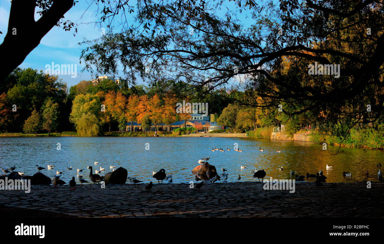 Wasservögel und buntes Laub im Stadtpark von Hamburg Harburg Stockfoto