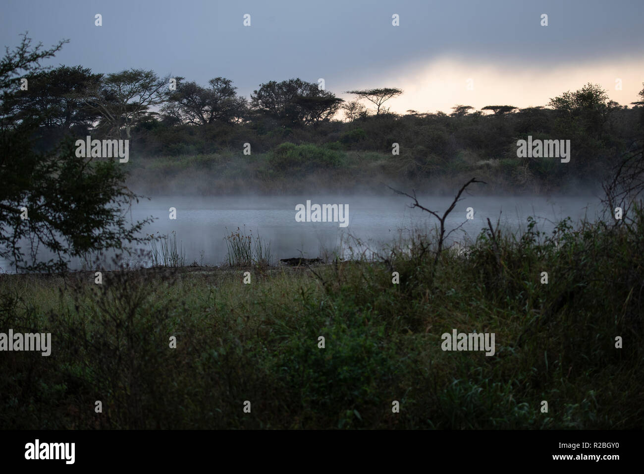 Morgengrauen auf Zimanga Private Game Reserve in Südafrika mit der Nebel steigt aus dem Wasser beim ersten Tageslicht Stockfoto
