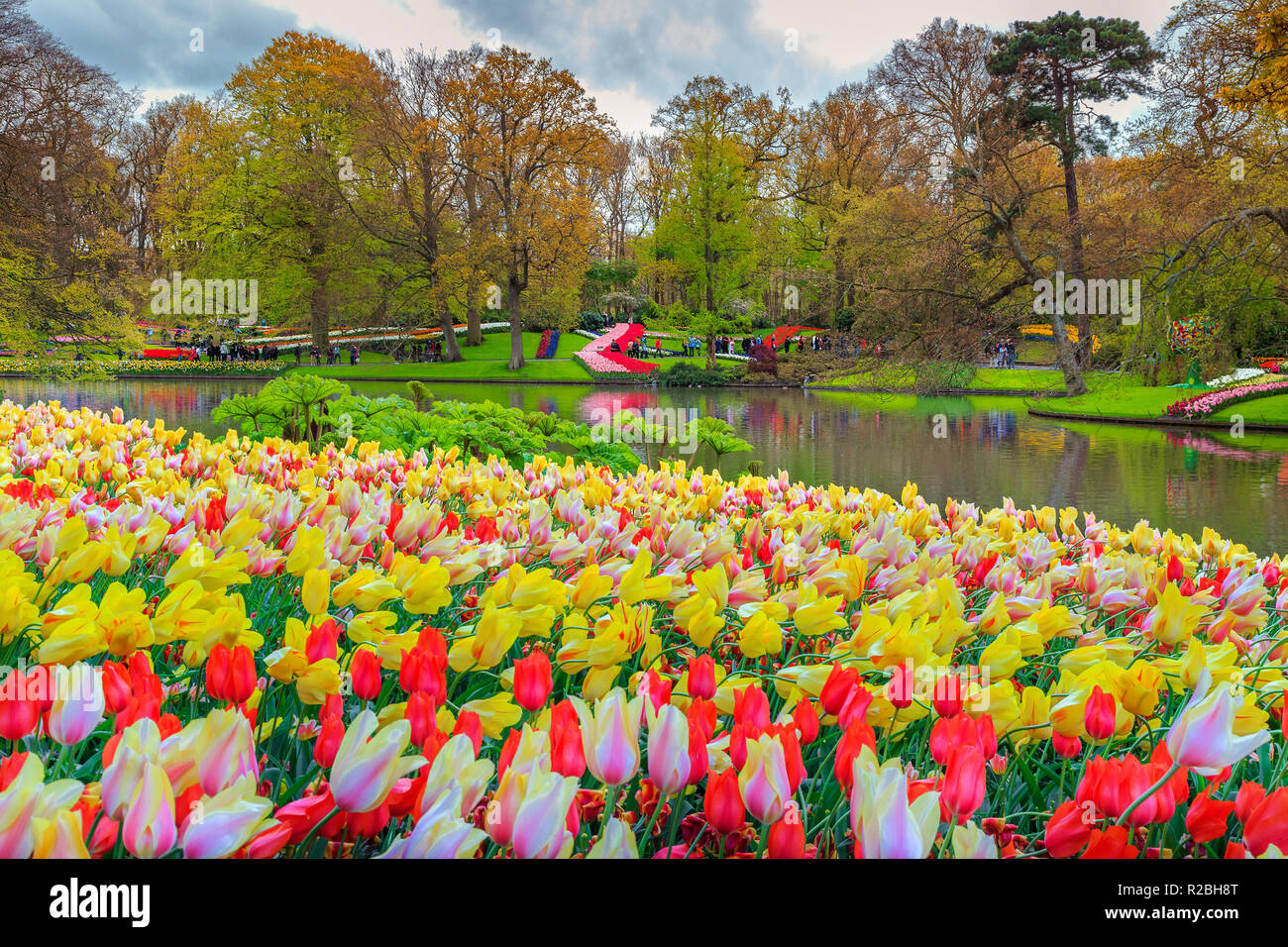 Erstaunlich frühling landschaft, fabelhafte Keukenhof Garten mit bunten frischen Tulpen, Frühling Blumen und Blick auf den See im Hintergrund, Lisse, Niederlande, Eu Stockfoto