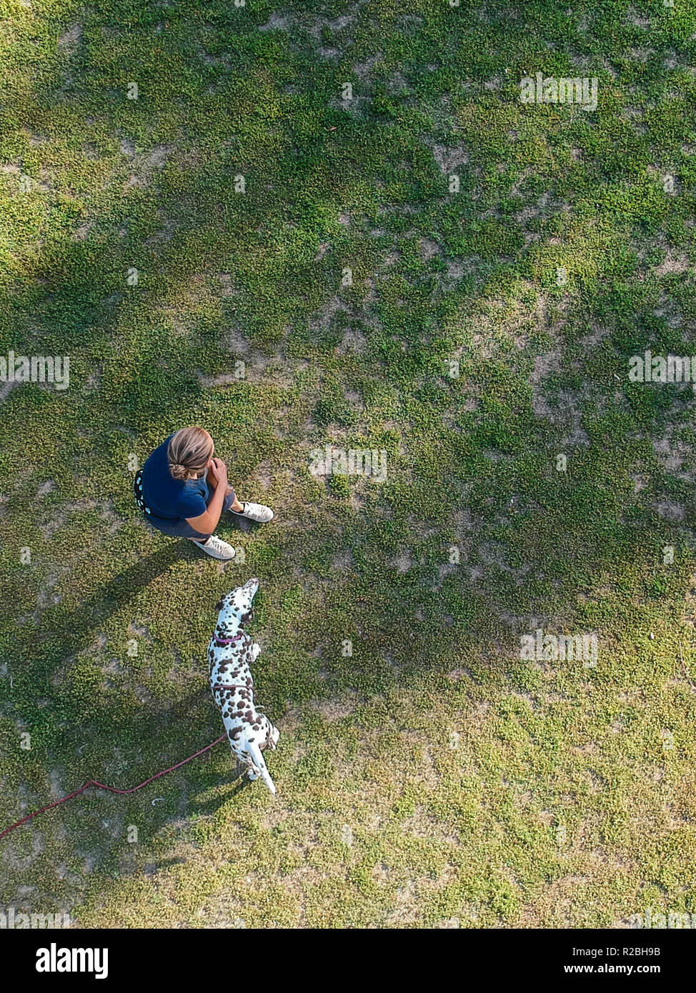 Luftaufnahme der weiblichen Wanderer mit Hund Stockfoto