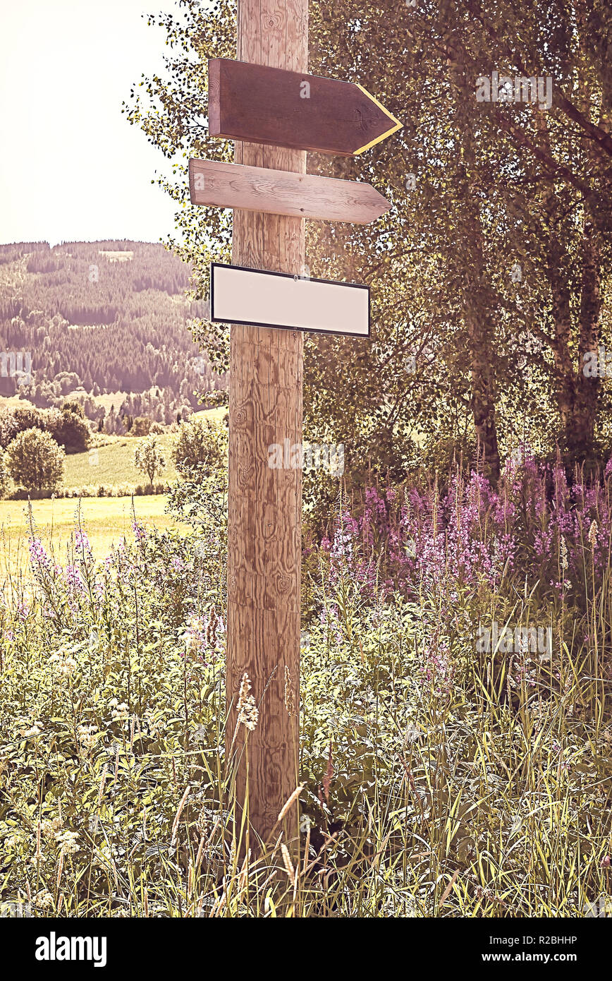 Rustikale, alte Handgemachte leer einfache Pfeil Holz Anzeichen auf eine hölzerne Stange mit Wildblumen und ländlichen Hintergrund in der Landschaft - Vintage Style Stockfoto