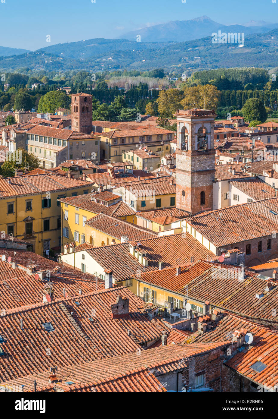 Panoramablick in Lucca mit Kirche San Salvatore und Santa Maria Corteorlandini Kirche. Toskana, Italien. Stockfoto