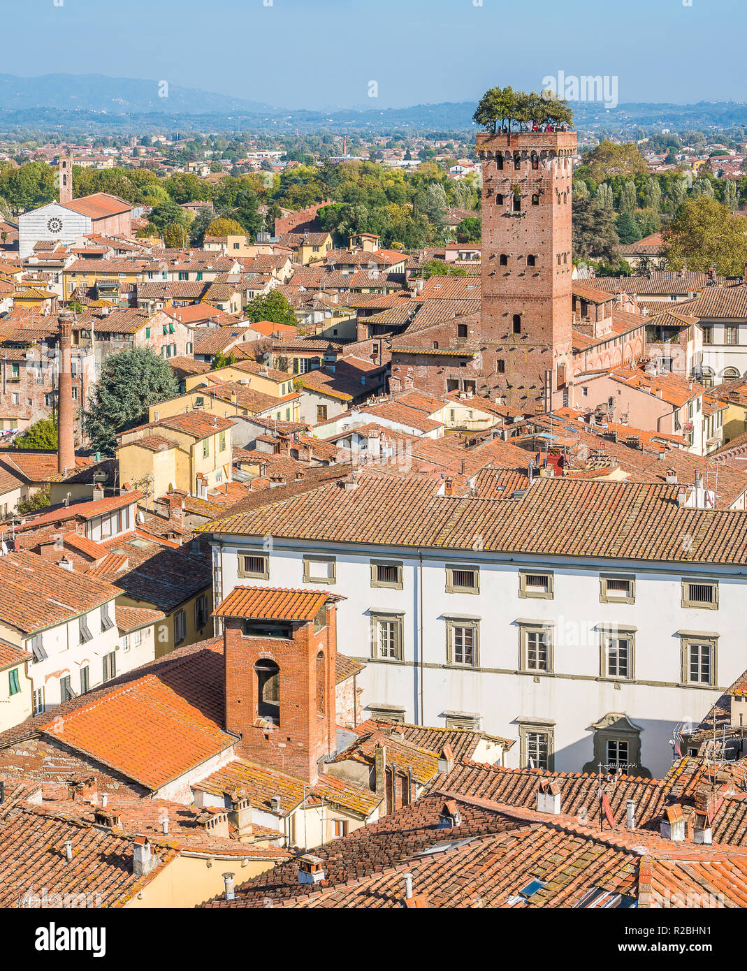 Panoramablick in Lucca, mit dem berühmten Torre Guinigi. Toskana, Italien. Stockfoto
