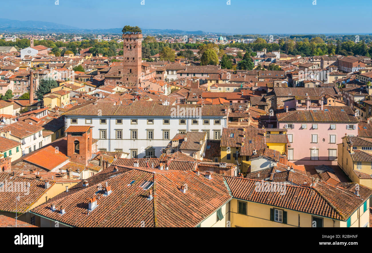 Panoramablick in Lucca, mit dem berühmten Torre Guinigi. Toskana, Italien. Stockfoto