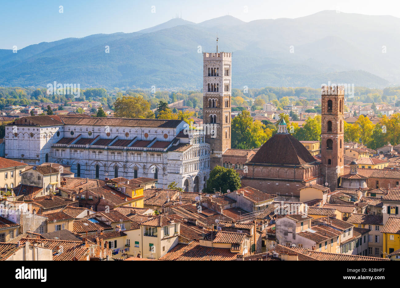 Panoramischer Anblick in Lucca, mit der Dom von San Martino. Toskana, Italien. Stockfoto