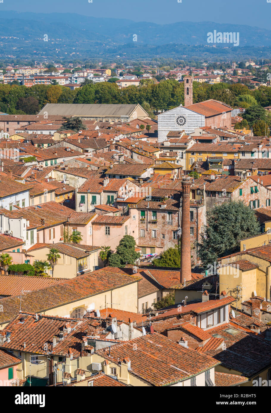 Panoramischer Anblick in Lucca mit San Francesco Kirche. Toskana, Italien. Stockfoto