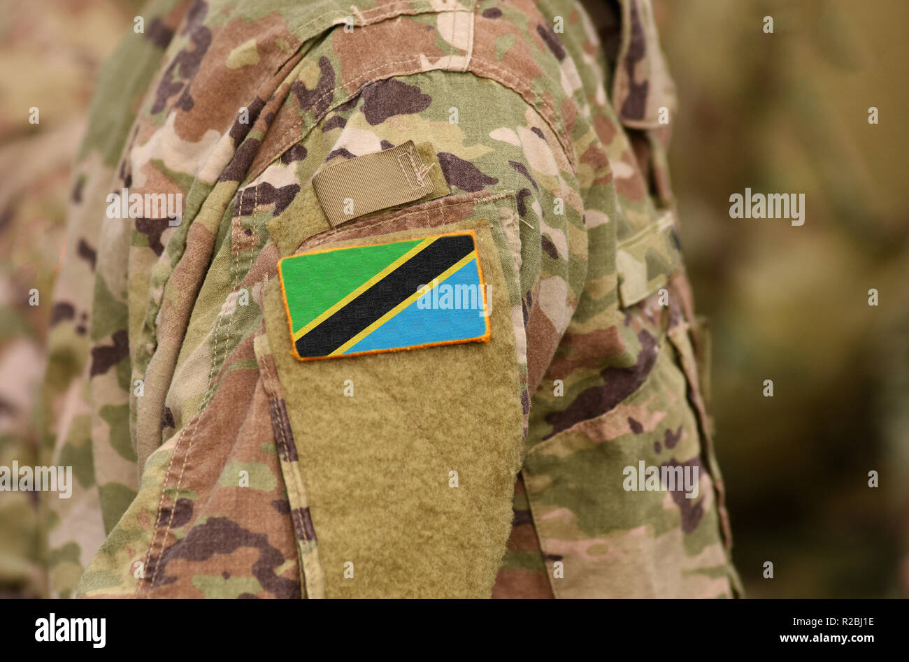 Tansania Fahne auf Soldaten arm. Vereinigte Republik Tansania Truppen (Collage) Stockfoto