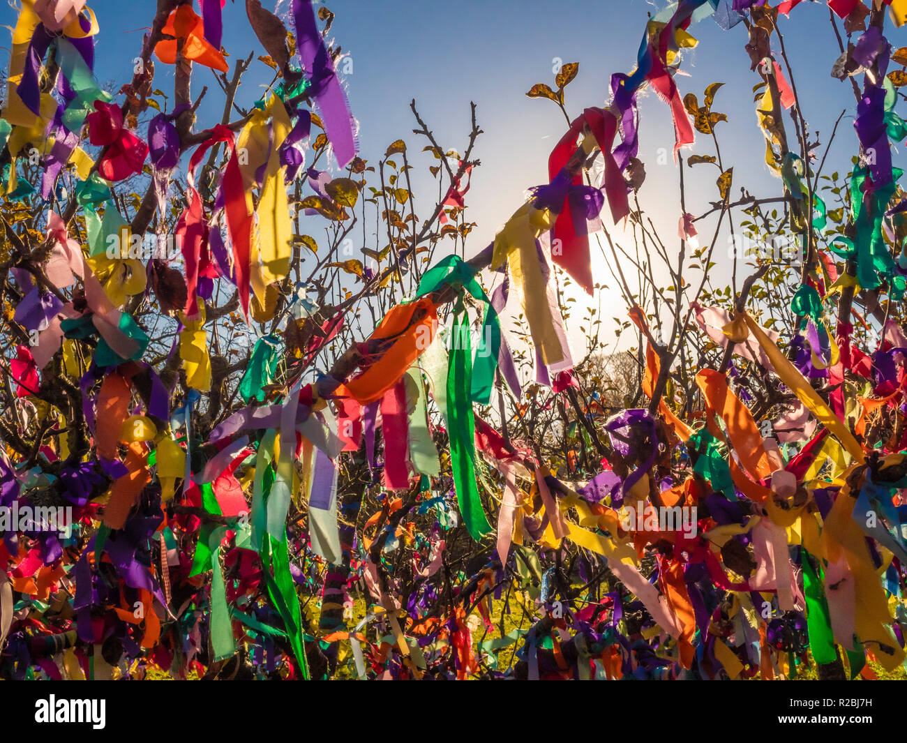 Bunte Bänder auf die Zweige eines Baumes im Freien gebunden Stockfoto