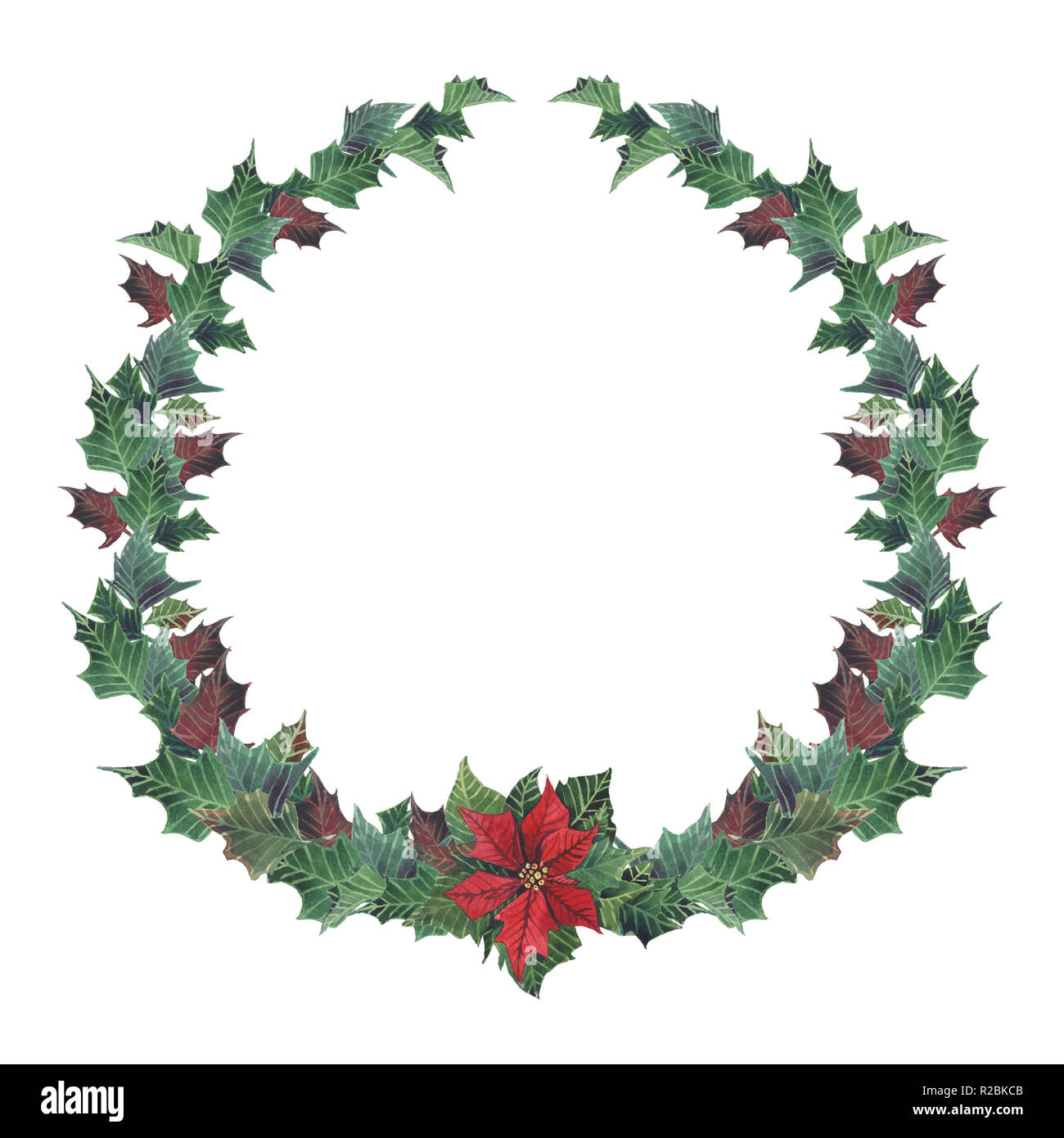 Aquarell Weihnachten blumen Kranz mit Weihnachtsstern. Hand snowberry und  Tannenzweigen gemalt, rote Beeren mit Blttern, Pine Cone isoliert auf wei  zurck Stockfotografie - Alamy