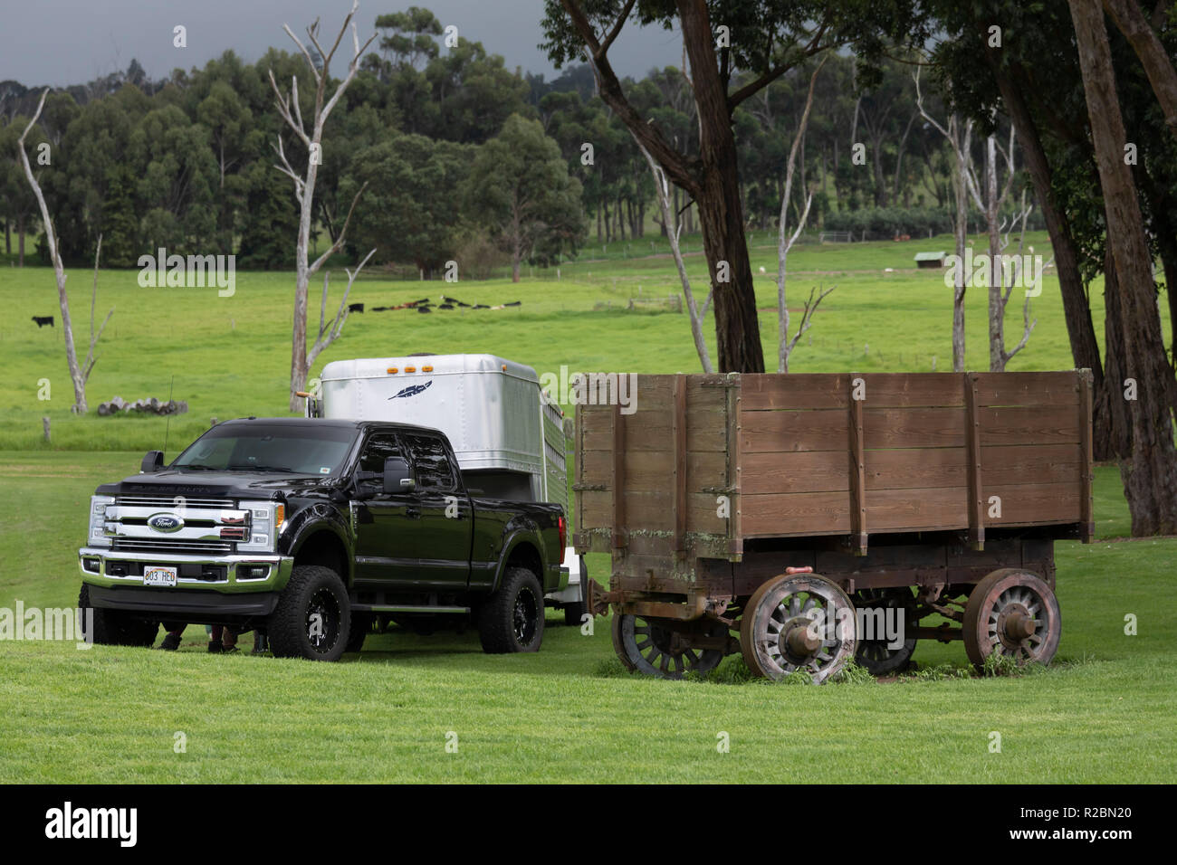 Waikii, Hawaii - ein Lieferwagen mit einem Pferdeanhänger neben einer alten Wagen im Mauna Kea Polo Club. Der Club spielt auf den Pisten des ruhenden Stockfoto
