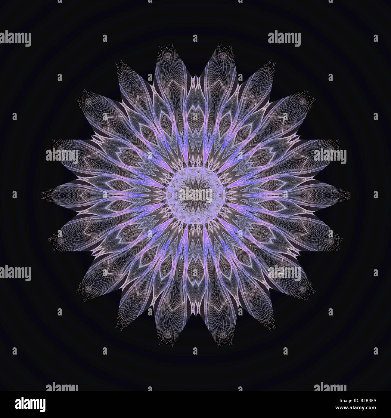 Ein Stern oder Blume Mandala in Grau und Violett Stockfoto