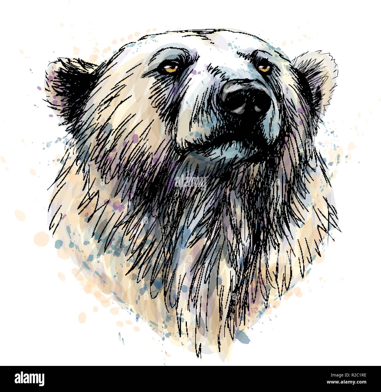 Porträt eines Eisbären Kopf aus einem Splash von Aquarell, hand Skizze gezeichnet Stock Vektor