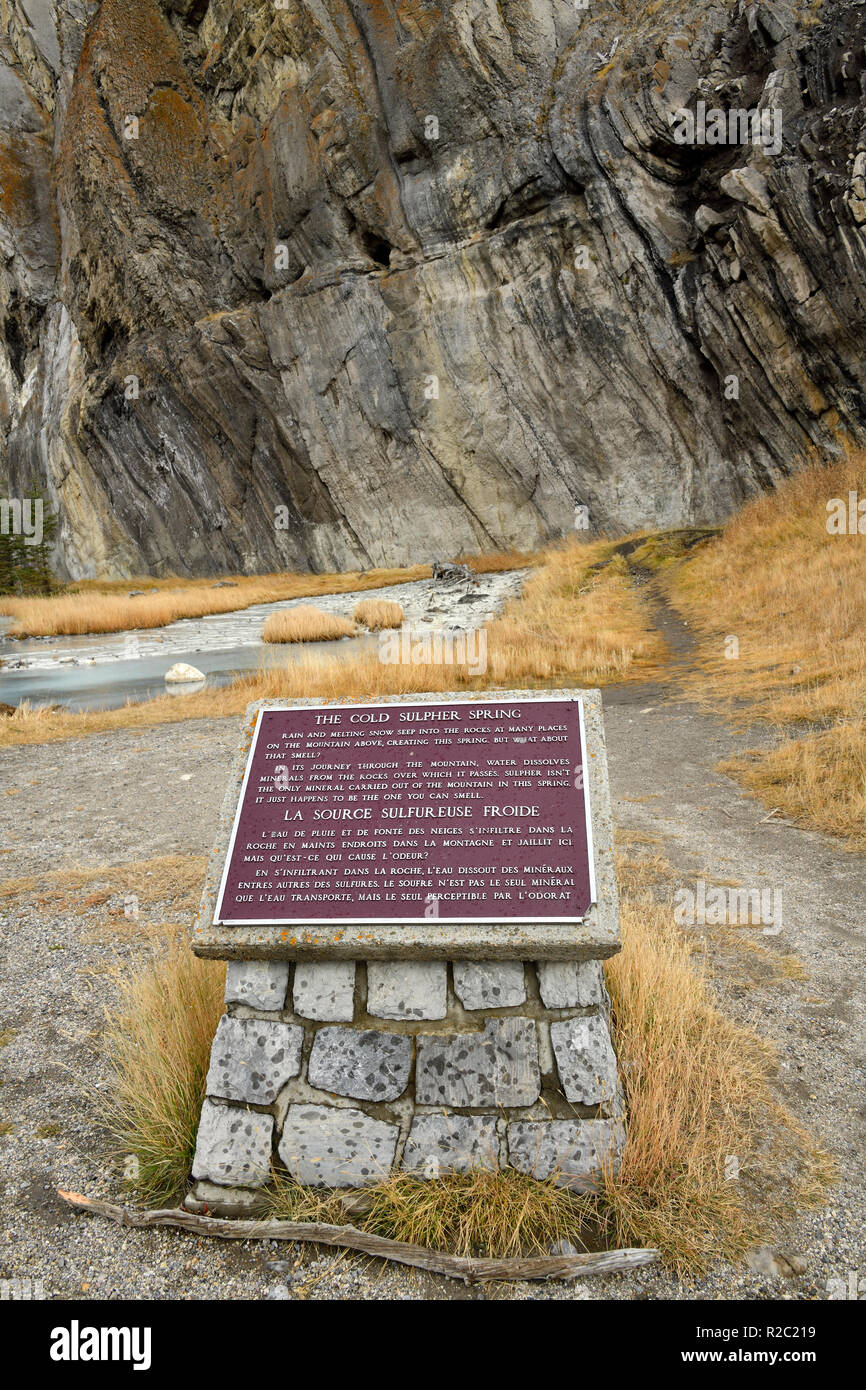 Eine vertikale Bild der Mineralquelle am Fuß eines Berges im Jasper Nationalpark mit den Informationen, die Plaque und den Überlauf des Kalten spri Stockfoto