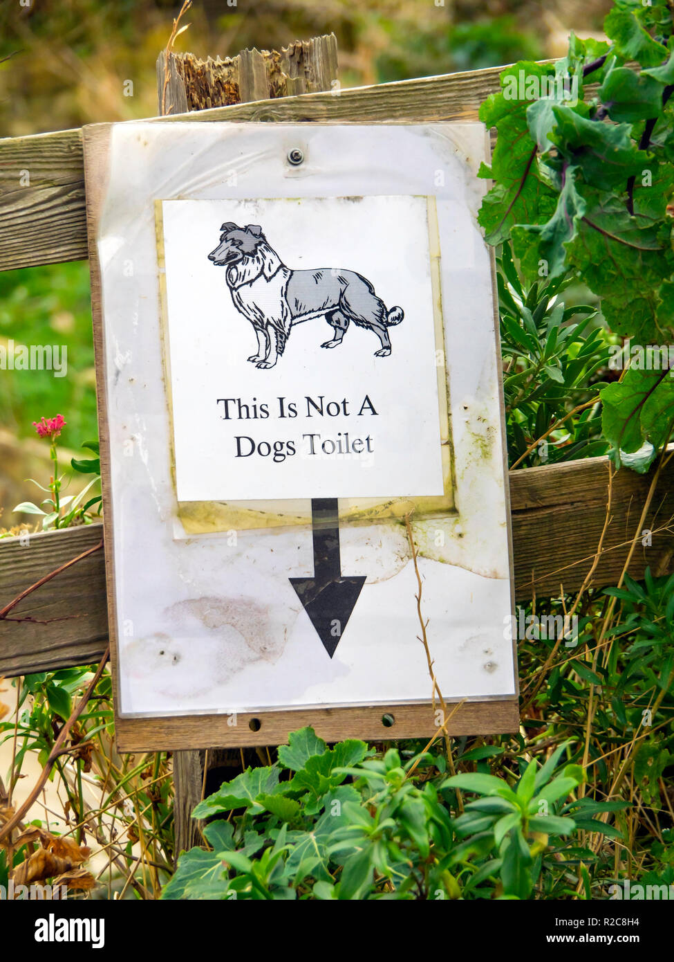 Schild An Einem Strassenrand Garten Haufig Von Menschen Zu Fuss