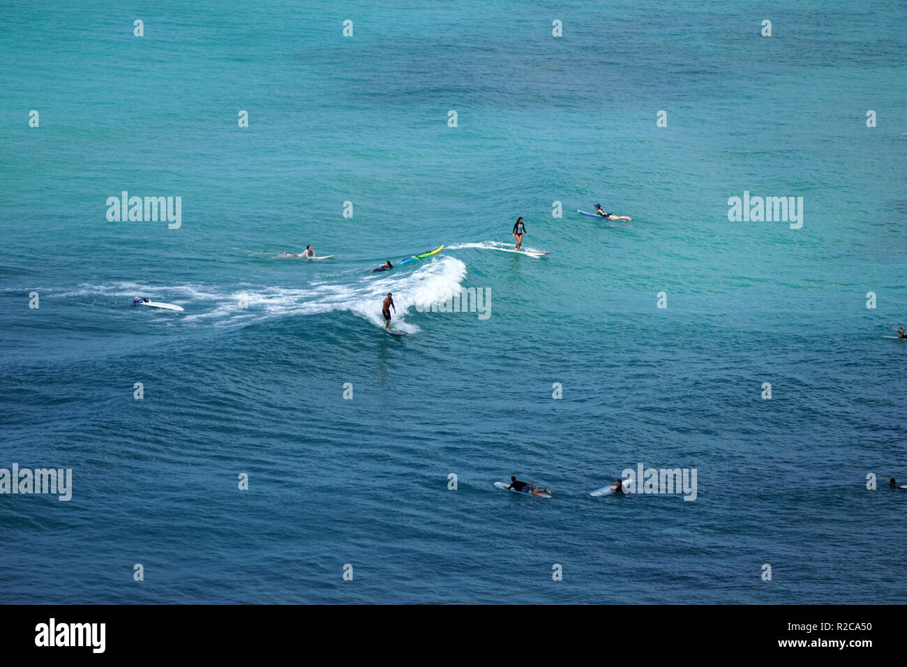 Surfer am Strand von Waikiki in Honolulu. Stockfoto