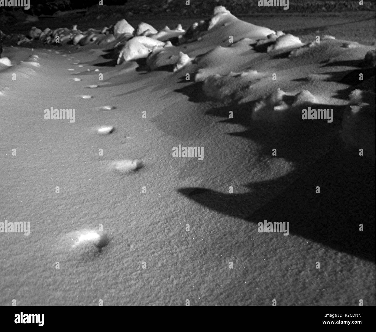 Spuren im Schnee Stockfoto