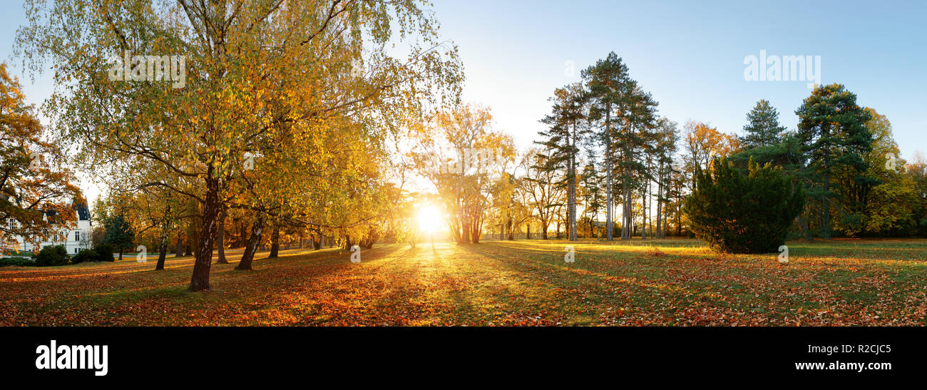 Schönen park Garten im Herbst. Herbst Panorama Park bei Sonnenaufgang in der Slowakei Stockfoto