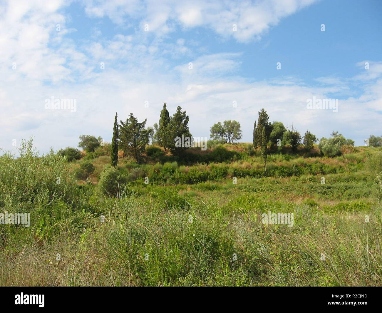 Landschaft auf Korfu Stockfoto