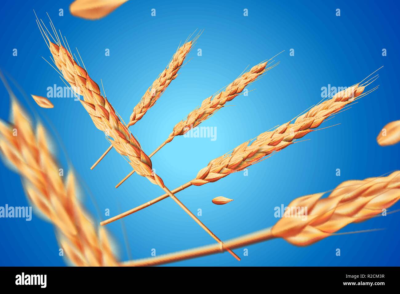 Realistische Weizen, Hafer Elemente. Flying detaillierte Gerste auf blauem Hintergrund für gesunde Ernährung oder Landwirtschaft design isoliert. Vector 3d-Abbildung. Stock Vektor