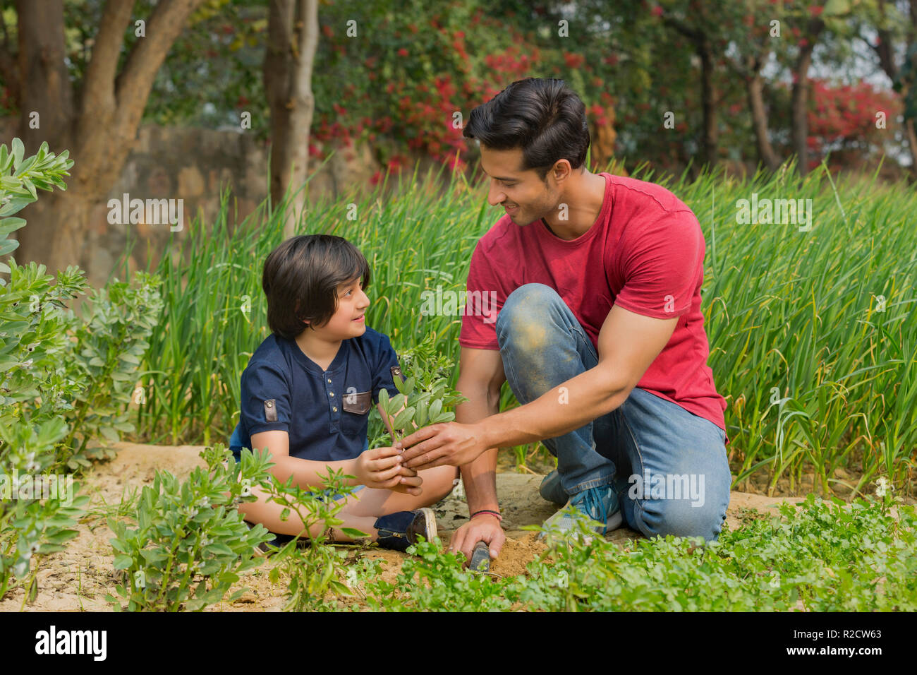 Vater und Sohn schneiden grüne Gemüse im Garten sitzen mit einer Kelle. Stockfoto