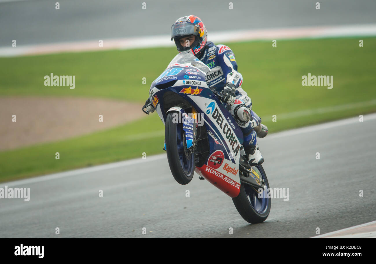 Manilva, Malaga, Spanien. 18 Nov, 2018. GP Comunitat Valenciana Moto GP. Jorge Martín moto3 Fahrer und 2018 Weltmeister, feiert nach dem Moto3-Rennen. Credit: rosdemora/Alamy leben Nachrichten Stockfoto