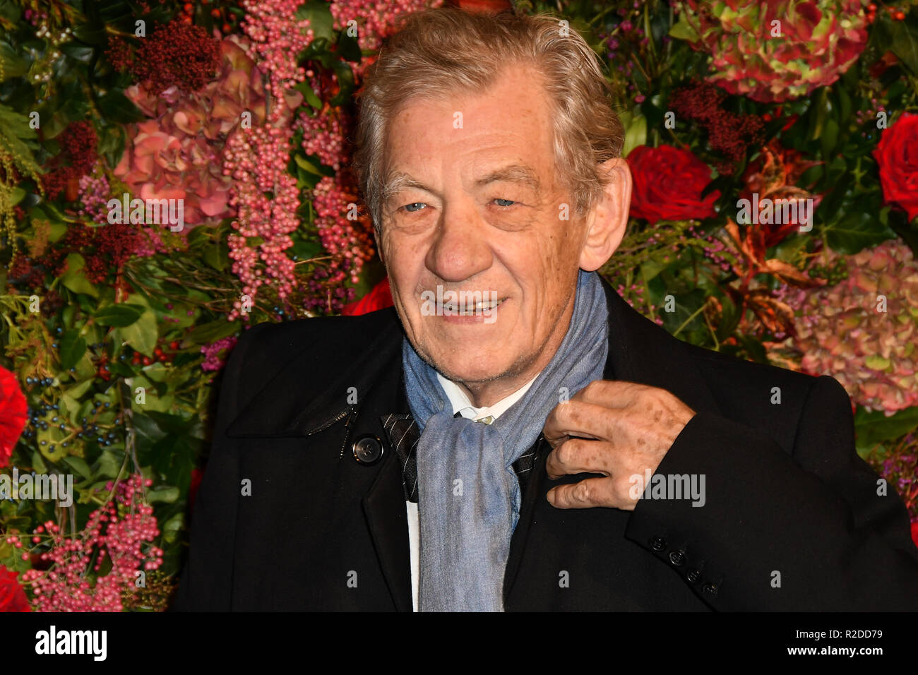 London, Großbritannien. 18. November 2018. Sir Ian Mckellen besucht die 64th Evening Standard Theater Award Theatre Royal, am 18. November 2018, London, UK. Bild Capital/Alamy leben Nachrichten Stockfoto