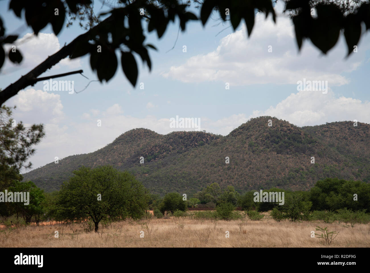 Vredefort, Südafrika, 19. November 2018. Die Landschaft der Vredefort Dome aus Venterskroon gesehen, im Freistaat. Das Zentrum der Vredefort Dome, dem größten verifiziert Einschlagskrater auf der Erde ist die Heimat der alten gold-rush Städte Vredefort und Venterskroon. Credit: Eva-Lotta Jansson/Alamy leben Nachrichten Stockfoto